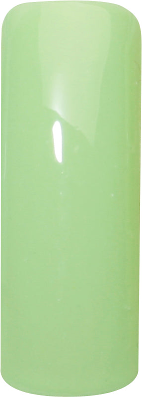 NM15 CHRISTMAS ROSE GREEN 2.5g Color Gel Miss Mirage