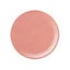 084S 5g Color Gel STORY JEL365