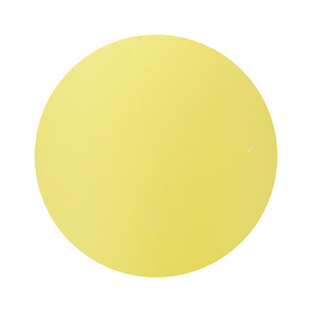 Para Polish Color Gel F014 Ash Lemon