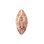 Bonnail × RieNofuji Diamant Blade Bronze 10p