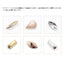 Bonnail x Rie Nofuji Diamant Leaf Bronze 6pcs
