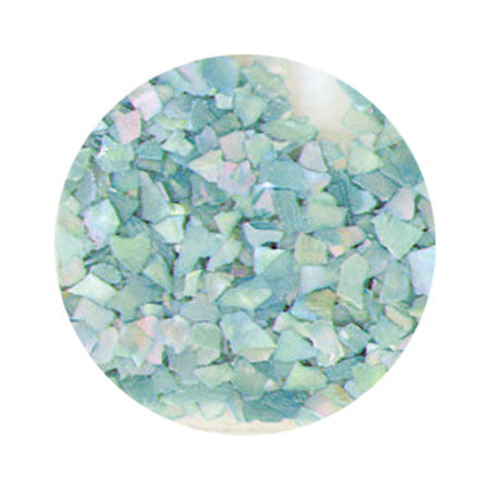 Pika Ace Natural Shellfish Light Blue M 328