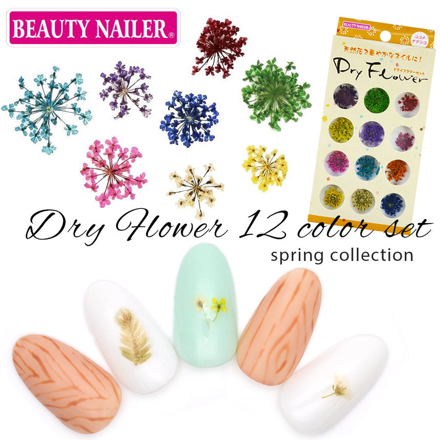 BEAUTY NAILER Dry Flower Set 12 Colors DRF-3