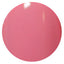 PG-CE292 Cherish bonbon 4g Color EX PREGEL