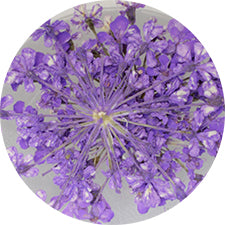 SHAREYDVA Lace Dry Flower Purple