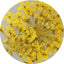 SHAREYDVA Lace Dry Flower Yellow