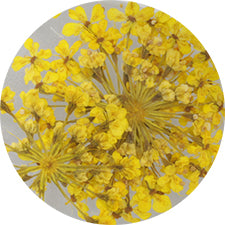 SHAREYDVA Lace Dry Flower Yellow