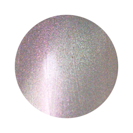 S18 Magnetic Color Gel 2g Nail Parfait