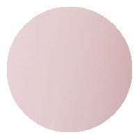E29 Fairy Wing 2.5g Color Gel KOKOIST