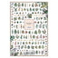 Sha-Nail Pro Specimen Green RYOSP-002
