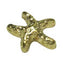 SHAREYDVA Metal Studs Star Fish Gold M 8P