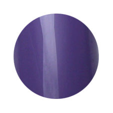 130 2g Color Gel Putiel