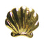 Darling Shell Gold