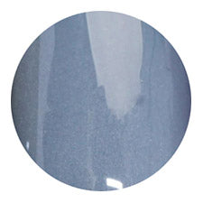 S08 Magnetic Color Gel 2g Nail Parfait