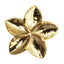 Putiel Nail Parts Plumeria Gold