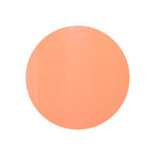 236 2g Color Gel Putiel