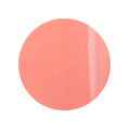 061 4g Color Gel LEAFGEL PREMIUM