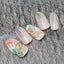 SHAREYDVA Sewing Collection  Akaiite