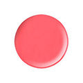 088M 5g Color Gel STORY JEL365(missing item)