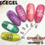 【23984】ICE GEL Color Gel Glass Gel GL-705