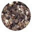 SHAREYDVA Grain Shell Stone  Brown