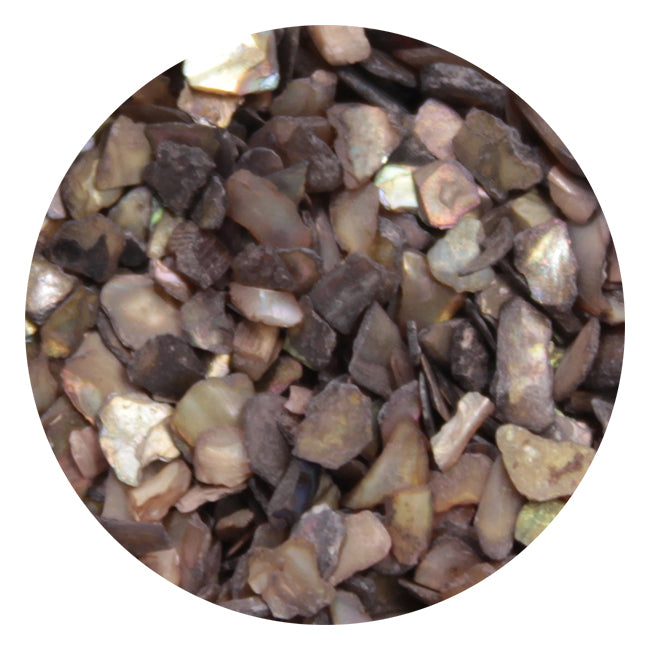 SHAREYDVA Grain Shell Stone  Brown