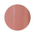 401 4g Color Gel LEAFGEL PREMIUM