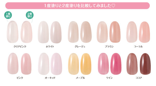 【92755】PREGEL Color EX Tulle Series Tulle Orchid PG - CE 855