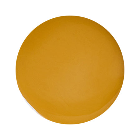 【25981】PREGEL Color EX Pumpkin Tart PG-CE 909