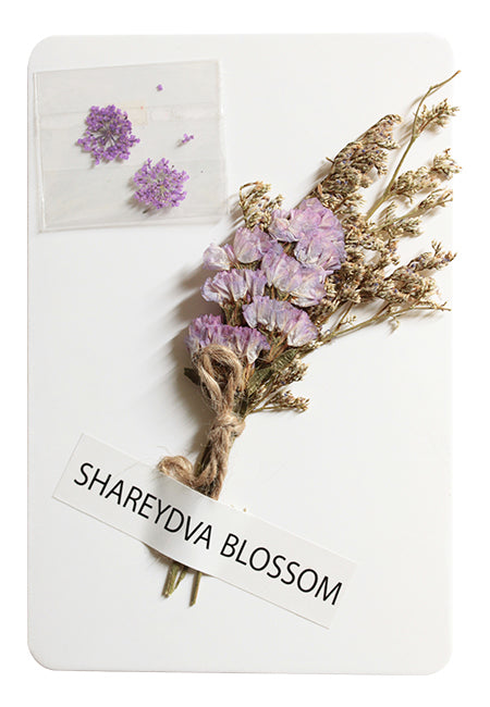 SHAREYDVA BLOSSOM Classy Lavender