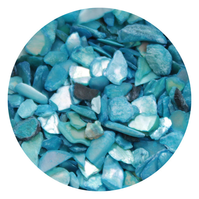 SHAREYDVA Grain Shell Stone Turquoise
