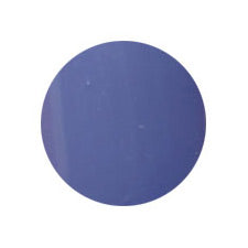 Putiel 111 2g Color Gel