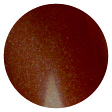 S13 Magnetic Color Gel 2g Nail Parfait