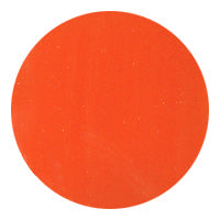E10 Mango Orange 2.5g Color Gel KOKOIST