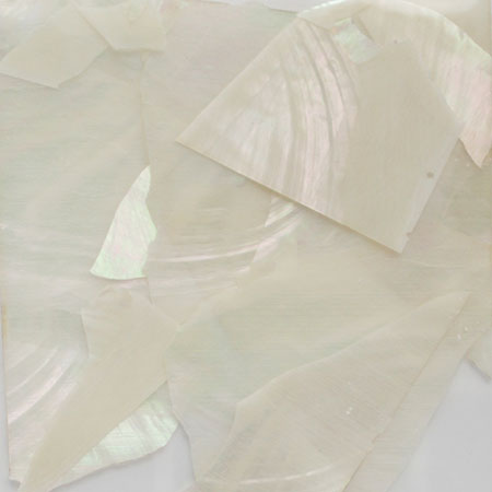 SHELL JAPAN Crashed Shell Summer White