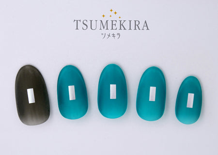 Tsumekira Rrieenee × Junjun Nail Produce 1 Multi Mode Plate Silver