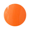 54 Premium Color Gel 2g Nail Parfait