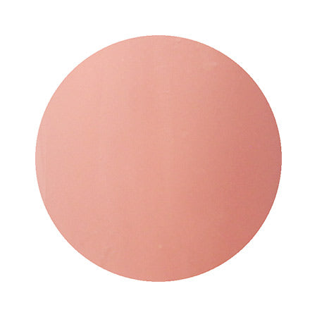Para Polish Color Gel B009 Coral Beige