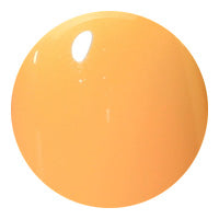 PREGEL PremDoll Blythe Collaboration B18 Fleur Soleil