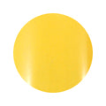 31 Premium Color Gel 2g Nail Parfait
