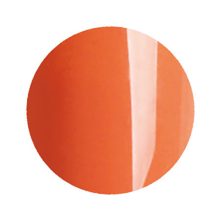 [14467]TiNS edit. Color Gel 013 Terra Cotta