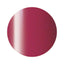 206 Indian red 2.7g Color Gel Ageha