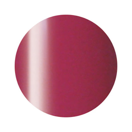 206 Indian red 2.7g Color Gel Ageha