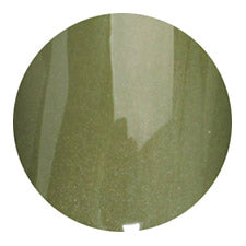 S09 Magnetic Color Gel 2g Nail Parfait