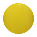 E112 Hot Mustard 2.5g Color Gel KOKOIST