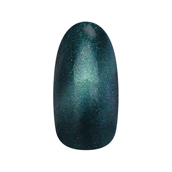 【S28】Nail Parfait Magnet Gel 2g