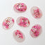 SHAREYDVA Clear Dry Flower Pink 6p