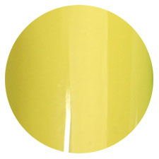 P07 5g Color Gel Polish LEAFGEL PREMIUM
