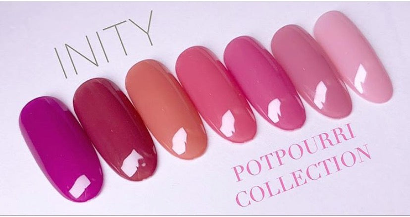 INITY HIGH-END Color Gel PN-01S Dry Rose 3g